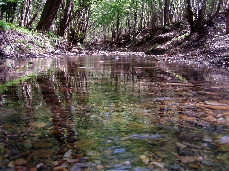 Valle del Farma e Stagno della Troscia: luoghi meravigliosi!